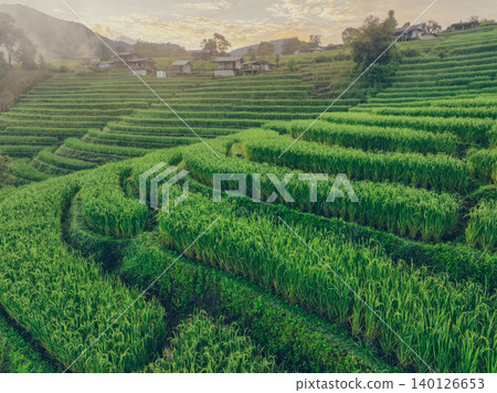 Landscape of green rice paddies in tropical hills of Southeast Asia. Rice terrace field. Sustainable lifestyle, biodiversity, and authentic local experience through agriculture and rural travel. Landscape of green rice paddies in tropical hills of Southeast Asia. Rice terrace field. Sustainable lifestyle, biodiversity, and authentic local experience through agriculture and rural travel. 140126653