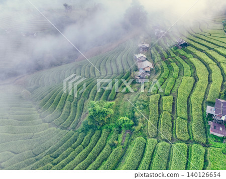 Drone view of green rice terraces covered in soft morning fog with traditional huts in a rural Chiangmai village, showing eco farming practices, local culture, and highland organic cultivation Drone view of green rice terraces covered in soft morning fog with traditional huts in a rural Chiangmai village, showing eco farming practices, local culture, and highland organic cultivation 140126654