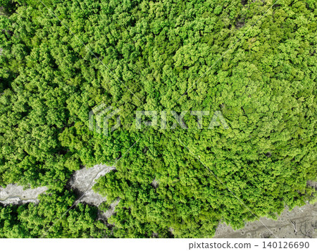 Aerial top view of green mangrove forest. Mangrove ecosystem. Natural carbon sinks. Mangroves capture CO2 from the atmosphere. Blue carbon ecosystems. Mangroves absorb carbon dioxide emissions. 140126690