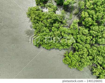 Aerial top view of green mangrove forest. Mangrove ecosystem. Natural carbon sinks. Mangroves capture CO2 from the atmosphere. Blue carbon ecosystems. Mangroves absorb carbon dioxide emissions. 140126691