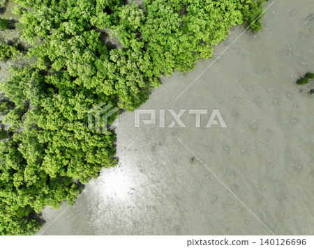 Aerial top view of green mangrove forest. Mangrove ecosystem. Natural carbon sinks. Mangroves capture CO2 from the atmosphere. Blue carbon ecosystems. Mangroves absorb carbon dioxide emissions. Aerial top view of green mangrove forest. Mangrove ecosystem. Natural carbon sinks. Mangroves capture CO2 from the atmosphere. Blue carbon ecosystems. Mangroves absorb carbon dioxide emissions. 140126696