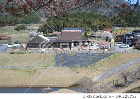 Spring scenery in Toyohira Donguri Village Spring scenery in Toyohira Donguri Village 140126752