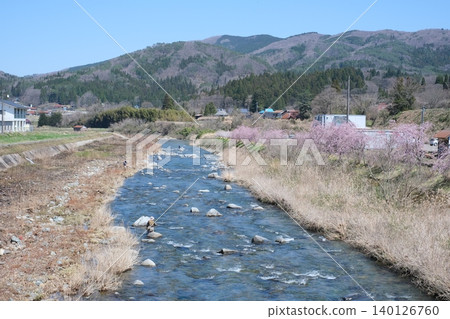 吉和村大田川沿岸櫻花盛開的景色。 140126760