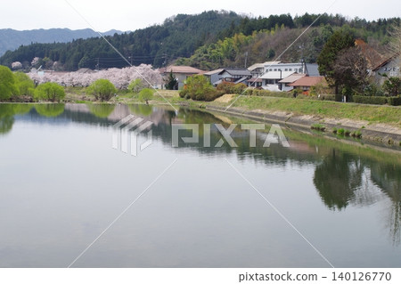 北廣島町白原川沿岸的櫻花盛開 北廣島町白原川沿岸的櫻花盛開 140126770
