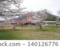 大佐區幼兒園的建築和櫻花景色。 140126776