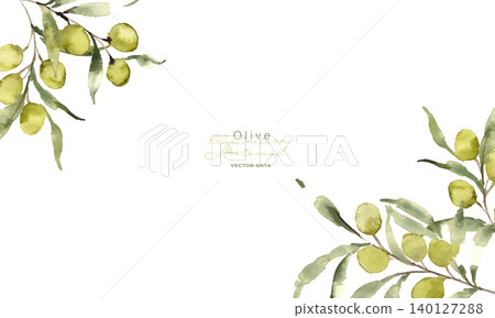 水彩畫。水彩風格的橄欖向量圖。夏季橄欖植物背景。 水彩畫。水彩風格的橄欖向量圖。夏季橄欖植物背景。 140127288