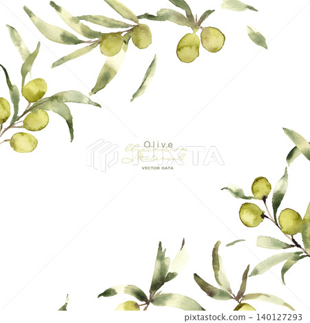 水彩畫。水彩風格的橄欖向量圖。夏季橄欖植物背景。 水彩畫。水彩風格的橄欖向量圖。夏季橄欖植物背景。 140127293