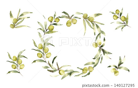 Watercolor painting. Watercolor-style olive vector illustration. Summer olive plant background. Watercolor painting. Watercolor-style olive vector illustration. Summer olive plant background. 140127295