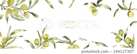 水彩畫。水彩風格的橄欖向量圖。夏季橄欖植物背景。 水彩畫。水彩風格的橄欖向量圖。夏季橄欖植物背景。 140127307