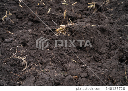 Plowed agricultural field after sugarcane harvest with rich brown soil prepared for new planting. Food security, soil health, and sustainable farming landscape in rural countryside. World soil day. Plowed agricultural field after sugarcane harvest with rich brown soil prepared for new planting. Food security, soil health, and sustainable farming landscape in rural countryside. World soil day. 140127728