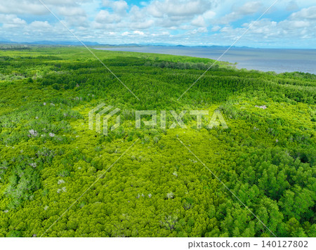 Aerial view green mangrove forest. Carbon storage, climate change mitigation, and conservation of vital marine habitats. Essential for coastal protection, restoration efforts, and blue carbon programs Aerial view green mangrove forest. Carbon storage, climate change mitigation, and conservation of vital marine habitats. Essential for coastal protection, restoration efforts, and blue carbon programs 140127802