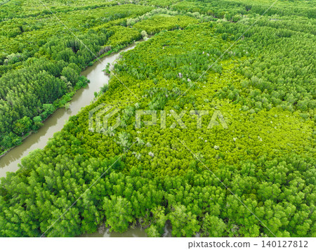 Aerial view mangrove forest ecosystem. Significant economic value in carbon credits, ecosystem services, and climate resilience. Conservation efforts ensure long-term coastal community protection. Aerial view mangrove forest ecosystem. Significant economic value in carbon credits, ecosystem services, and climate resilience. Conservation efforts ensure long-term coastal community protection. 140127812