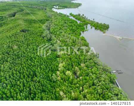 Aerial view mangrove forest ecosystem. Economic value in carbon credit, ecosystem service, and climate resilience. Conservation effort long-term coastal community protection. Mangrove tree capture CO2 Aerial view mangrove forest ecosystem. Economic value in carbon credit, ecosystem service, and climate resilience. Conservation effort long-term coastal community protection. Mangrove tree capture CO2 140127815