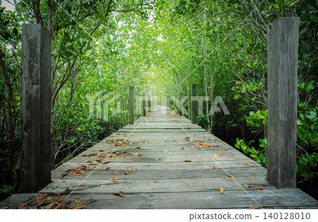 Wooden walkway through mangrove forest. Natural carbon sink and sustainable ecosystems. Climate change awareness. Environmental sustainability. Eco-friendly travel. Environmental conservation. 140128010