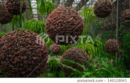A garden with three large red balls hanging from the ceiling. The balls are surrounded by green plants and trees. The garden has a peaceful and serene atmosphere 140128041