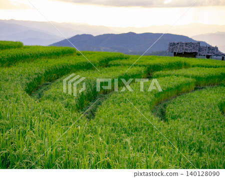 Green rice terraces. Lush agricultural landscape with terraced paddy fields. Nature's beauty in rural Asia. Scenic view of organic farming, perfect for travel destinations and environmental concepts. Green rice terraces. Lush agricultural landscape with terraced paddy fields. Nature's beauty in rural Asia. Scenic view of organic farming, perfect for travel destinations and environmental concepts. 140128090