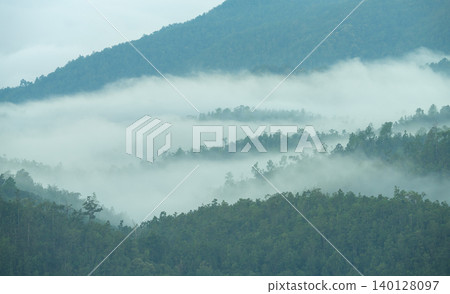 Foggy mountain landscape with green forest trees capturing carbon naturally. Eco-conscious businesses. Environmental responsibility. Sustainable forest ecosystem and natural carbon sequestration. Foggy mountain landscape with green forest trees capturing carbon naturally. Eco-conscious businesses. Environmental responsibility. Sustainable forest ecosystem and natural carbon sequestration. 140128097