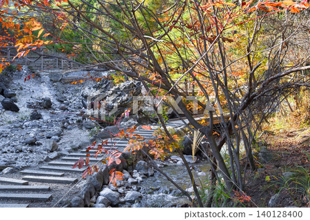 草津溫泉、西之河原公園：美麗的紅葉（群馬縣吾妻郡草津町） 140128400