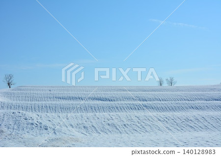 白雪皚皚的山隘和雪原景觀 140128983