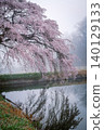 "Hōsui no Sakura" (cherry blossoms in Hōsui) enveloped in morning mist (Matsukawa-machi, Fukushima City, Fukushima Prefecture, April) 140129133