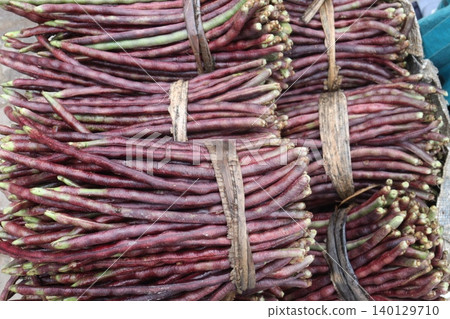 yardlong bean stock on shop for sell 140129710