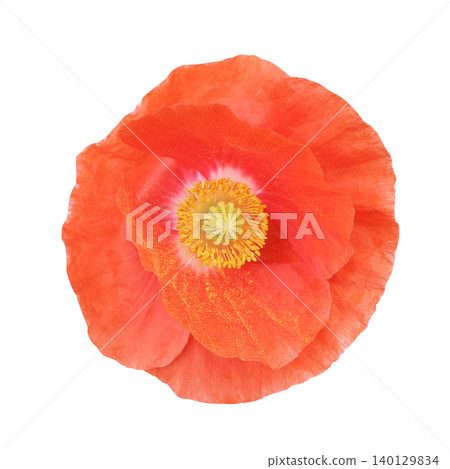 Flower cutout 01_Poppy 140129834