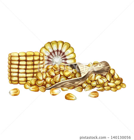 Corn kernels in a wooden scoop and slices of a corn cob. Hand-drawn watercolor illustration. Perfect for labels and packaging, as well as menus, banners, posters, and more. Corn kernels in a wooden scoop and slices of a corn cob. Hand-drawn watercolor illustration. Perfect for labels and packaging, as well as menus, banners, posters, and more. 140130056