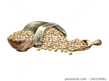 Soybeans in an upturned burlap bag, a wooden bowl and a scoop filled with soybeans. Hand-drawn watercolor illustration. Perfect for creating product labels, posters, banners, menus, and more Soybeans in an upturned burlap bag, a wooden bowl and a scoop filled with soybeans. Hand-drawn watercolor illustration. Perfect for creating product labels, posters, banners, menus, and more 140130062