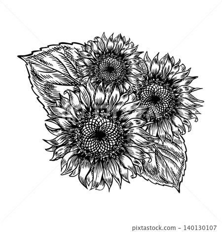 A bouquet of sunflowers. Handmade black and white vector graphics. Flowers on a white background. An element of design for postcards, packaging and labels, posters, banners, and more. A bouquet of sunflowers. Handmade black and white vector graphics. Flowers on a white background. An element of design for postcards, packaging and labels, posters, banners, and more. 140130107