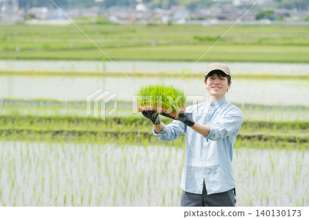A farmer holding rice seedlings A farmer holding rice seedlings 140130173