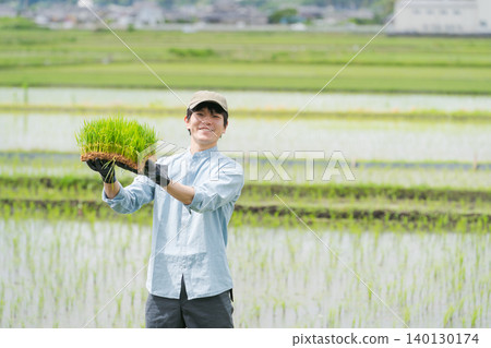 A farmer holding rice seedlings A farmer holding rice seedlings 140130174
