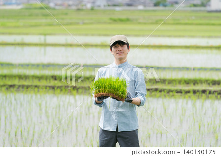 一位農夫手持水稻秧苗 一位農夫手持水稻秧苗 140130175