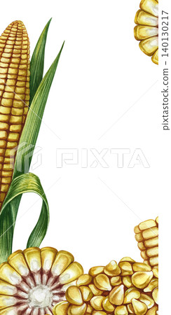 Corn frame. Hand-drawn watercolor illustration. Corn cobs, cobs cut, and corn kernels in a pile. Perfect for creating product labels, posters, banners, menus, and postcards, and more. 140130217