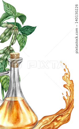 Frame with a picture of soybean oil.. Soybean stalks with green pods, a bottle of oil, and a splash of oil. Hand-drawn watercolor illustration. For labels, and more. Frame with a picture of soybean oil.. Soybean stalks with green pods, a bottle of oil, and a splash of oil. Hand-drawn watercolor illustration. For labels, and more. 140130226