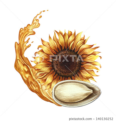 The head of a sunflower flower and its open seed. Hand-drawn watercolor illustration. Splash of sunflower oil. Element of design for postcards, packaging and labels, posters, banners, and more. The head of a sunflower flower and its open seed. Hand-drawn watercolor illustration. Splash of sunflower oil. Element of design for postcards, packaging and labels, posters, banners, and more. 140130252