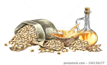 Soybean oil. A glass bottle, soybeans in a burlap bag, and a splash of oil in a cup. A hand-drawn watercolor illustration. For menus, recipes, and cookbooks. For banners, packaging, labels, and more. 140130277