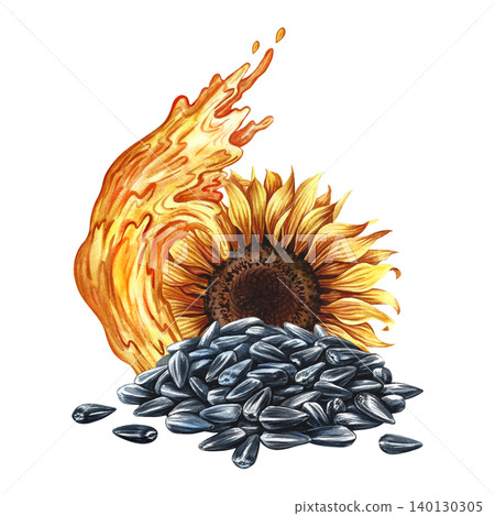 Sunflower oil. Hand-drawn watercolor illustration. A splash of oil, a sunflower flower, and a handful of seeds. An element of label and packaging design, banners, posters, and more. Sunflower oil. Hand-drawn watercolor illustration. A splash of oil, a sunflower flower, and a handful of seeds. An element of label and packaging design, banners, posters, and more. 140130305