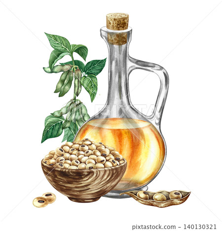 Soybean oil. Glass bottle, soybeans in a wooden cup, and a soy stem with green pods. Hand-drawn watercolor illustration. For menus, recipes, and cookbooks. For banners, packaging, labels, and more. Soybean oil. Glass bottle, soybeans in a wooden cup, and a soy stem with green pods. Hand-drawn watercolor illustration. For menus, recipes, and cookbooks. For banners, packaging, labels, and more. 140130321