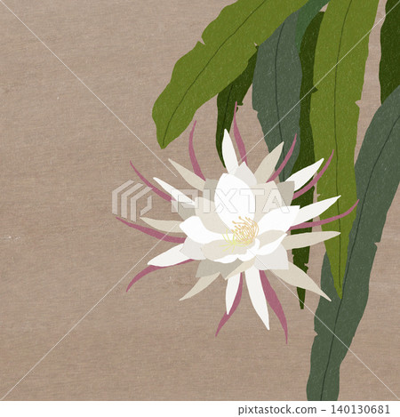 Hand-drawn flower illustration: Night-blooming cereus Hand-drawn flower illustration: Night-blooming cereus 140130681