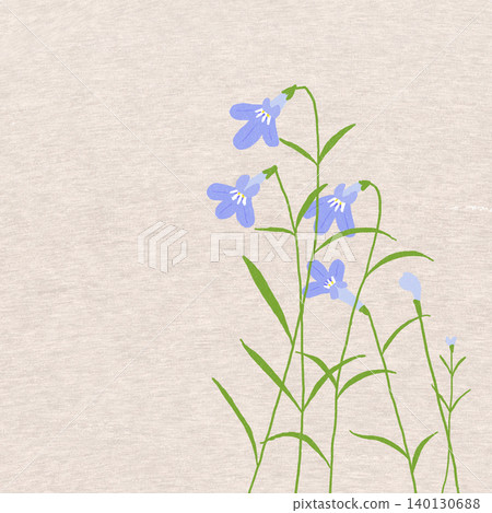 手繪花卉插圖:山梗菜 手繪花卉插圖:山梗菜 140130688