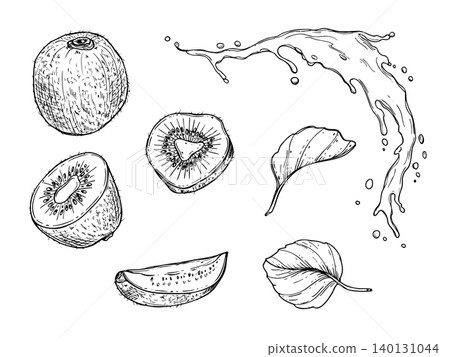 Kiwi fruit set with juice splash and leaves vector illustration in engraving style. Hand drawn tropical fruits black and white outline illustration for menu design, organic recipe and healthy diet 140131044