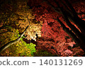 Autumn leaves lighted up 140131269
