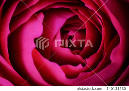 The Abyss of Roses The Abyss of Roses 140131380