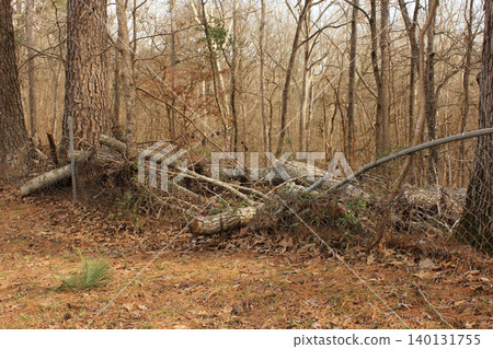Fence Damaged From Tree Falling During Storm Fence Damaged From Tree Falling During Storm 140131755