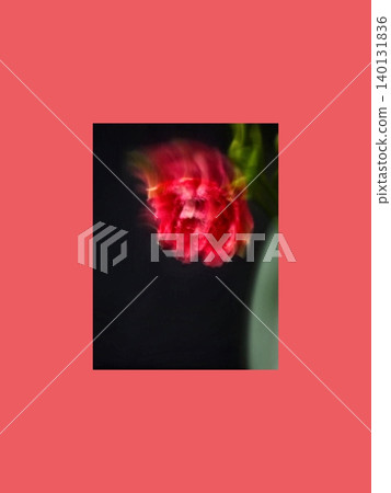 Abstract Red Tulip in Motion Abstract Red Tulip in Motion 140131836