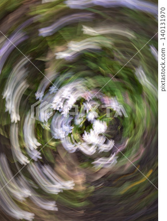 Abstract White Flowers in Circular Motion Abstract White Flowers in Circular Motion 140131970