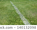 Grass, grass, white line, green, ground, nature, outdoors, meadow 140132098