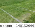 Grass, grass, white line, green, ground, nature, outdoors, meadow 140132099