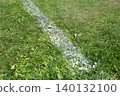 Grass, grass, white line, green, ground, nature, outdoors, meadow 140132100
