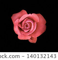 Red roses on black background 140132143